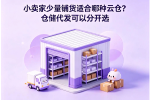 小卖家少量铺货适合哪种云仓？仓储代发可以分开选