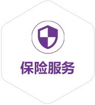 保险服务